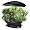 Aerogarden Indoor Garden Seed Kit - Gourmet Herbs