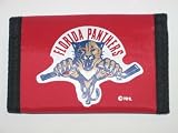 Florida Panthers Youth Team Logo Short Sleeve Tee - X-Large (18-20)