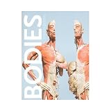Bodies The Exhibition