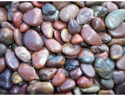 5 Lbs Polished Pebbles