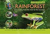 Rainforest : a journey from the river to the treetops