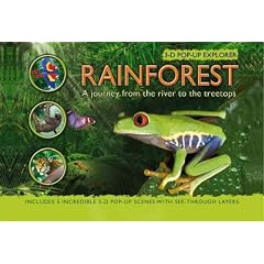 Rainforest 3-D Pop-up Explorer