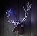 Qualizzi Star Lights Mini Led Light Set, 5 Pack