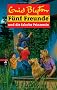 F�nf Freunde. Spannende Geschichten f�r Jungen und M�dchen: F�nf Freunde und die falsche Prinzessin: Band 58: Bd 58
