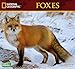 National Geographic Foxes 2017 Wall Calendar