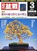 近代盆栽 2011年 03月号 [雑誌]