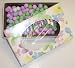 Scott's Cakes Chocolate Dutch Mints 1/2 Pound Daisy Box