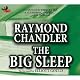 The Big Sleep