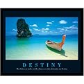 Destiny Framed - 16 x 20