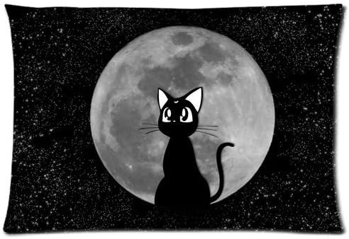 Every New Day Cartoon Beautiful Sailor Moon Cat Luna Unique Custom Zippered Pillow Cases 20x30 inches(50x76cm) (Two sides) by Pillow Sailor Moon