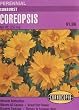 Perennial Sunburst Coreopsis Seeds