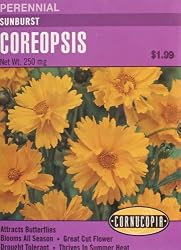 Perennial Sunburst Coreopsis Seeds
