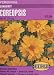 Perennial Sunburst Coreopsis Seeds