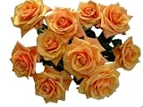 �A�b�v���e�B�@�y�I�����W�z�@30�{�@���o���̉ԑ����@