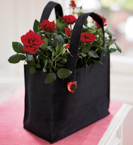 Red Rose Gift Bag