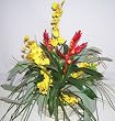 20" Bromeliad & Oncidium Arrangement