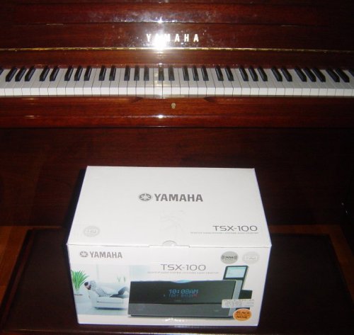 Yamaha Tsx-100 Tsx100 Desktop Audio System with Ipod Dock (Ipod NOT Included)