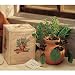 Italian Herb Garden Kit