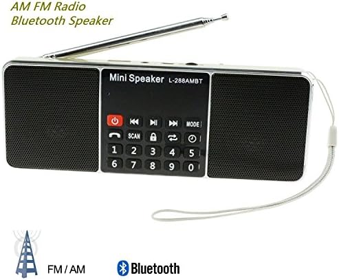Portable Mutifunctional Bluetooth Dual Channel Digital AM / FM Radio Media Speaker Wireless Speaker MP3 Music Player Support TF Card / USB Disk with LED Screen Display and Clock Function(L-288-Golden)