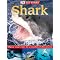 Shark Fun!
