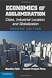 Economics of agglomeration : cities, industrial location, and globalization