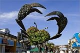 photographie Crab art on Pier 39. est disperible en (L x H): 30 x 20 cm de C. Lease
