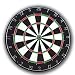 CLASSIC BRISTLE DARTBOARD