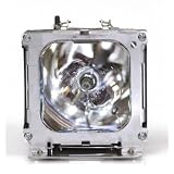 Liberty Brand Replacement Lamp for HITACHI DT00491 including generic housing and brand new Ushio lamp