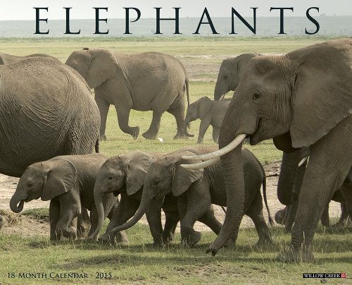 Elephants 2015 Wall Calendar