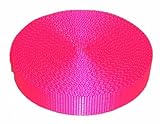 1" Inch 10 Yards Hot Pink Nylon Heavy Webbing
