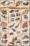 Wood Mounted Print, Dinosaur Skulls Reconstructed, 24 in X 36 in. Ready to hang laminated print.