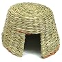 Ware 3843 Large Nature Willow and Grass Small Pet &hellip by Ware