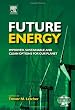 Future Energy: Improved, Sustainable and Clean Options for our Planet