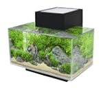 Fluval 15385 Edge I Aquarium, schwarz