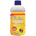 Wellesse Vitamin D3 Liquid 1000 Iu, 16 ounce Bottle (Pack of 3)