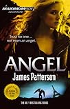 Angel : a Maximum Ride adventure