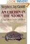 An Urchin in the Storm: Essays About Books and Ideas