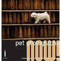 Pet Photography Now!: A Fresh Approach to Photographing Animal Companions