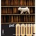Pet Photography Now!: A Fresh Approach to Photographing Animal Companions
