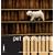 Pet Photography Now!: A Fresh Approach to Photographing Animal Companions