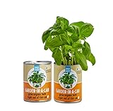 Back to the Roots Garden-in-a-Can, Grow Organic Basil, 2 Count