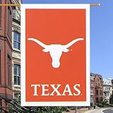 NCAA Texas Longhorns 28'' Applique Flag
