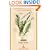 The Gardener's Year (Modern Library Gardening)