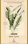 The Gardener's Year (Modern Library)
