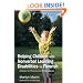 Helping Children with Nonverbal Learning Disabilities to Flourish: A Guide for Parents and Professionals