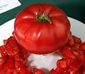 Rare Italian Tree Tomato 15 Seeds