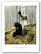 In The Adirondacks by Michael Coleman 16"x20" Art Print Poster