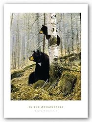 In The Adirondacks by Michael Coleman 16"x20" Art Print Poster