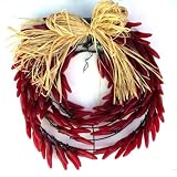 150 Light Chili Pepper Wreath - Red Chili