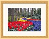 Picture Frame Maple w/ Step Lip .. 1.5'' wide